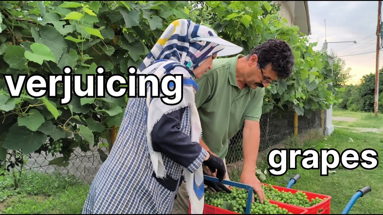 The Satisfying process of making verjuice:  From Garden to the pantry jar | Homestead Harvest