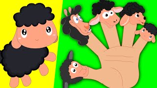 Sheep Finger Family | Nursery Rhymes For Kids And  Children's
