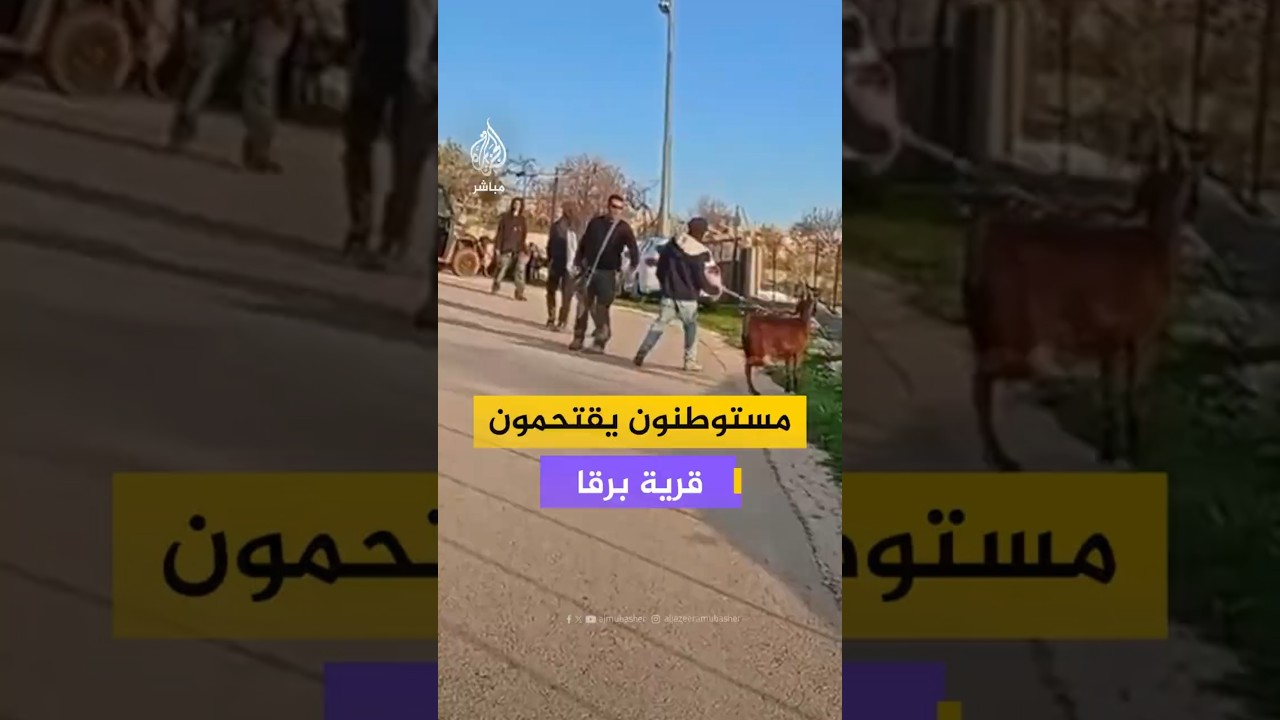 مستوطنون يقتحمون قرية برقا