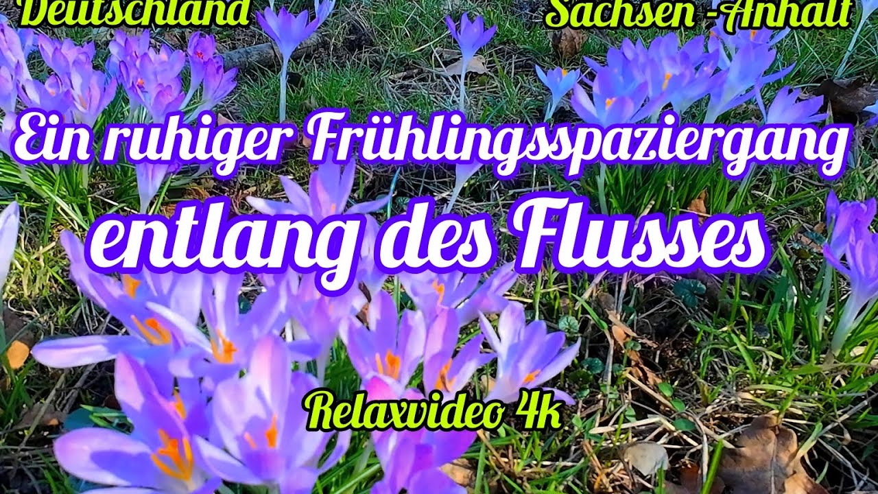 Ein ruhiger Spaziergang entlang des Flusses (4K).