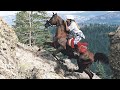 IDFC || Endurance Riding Music Video