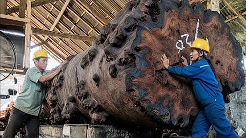 A Horrifying Monster Log Sawmill Full of Beauty