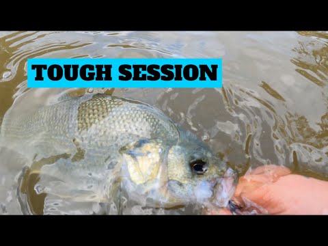 TEST RUN OF THE BROS NEW TINNY SETUP – NEPEAN BASS FISHING – TOUGH SESSION