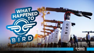 What Happened to Bird Scooters | E-scooter Company Bird Files for Bankruptcy