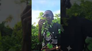 PoV : When Yuh Just Finding Out Seh That Pretty White Female Love Cow 🐄 🤣 #fypviral2026 #1youngmafia