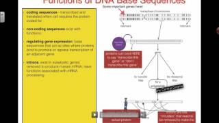Functions of DNA Base Sequences (2016) IB Biology
