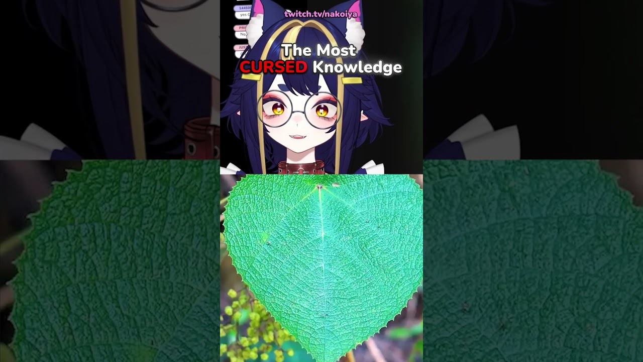 The Most CURSED Knowledge