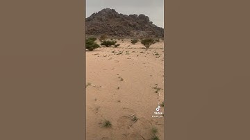 دحيم الحماد ١٤٤٤هـ ماتيسر من سورة الواقعة