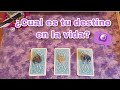 ¿Cual es mi DESTINO?🌸Tarot INTERACTIVO