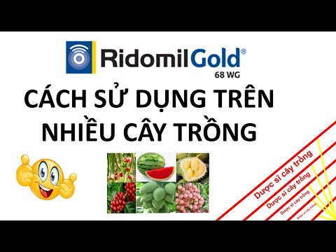 Video Ridomil Gold cách sử dụng trên các loại cây trồng |... - youtube