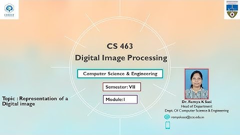 CS463 DIP Representation of Digital image