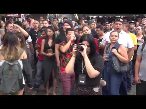 FESTIVAL DE LA