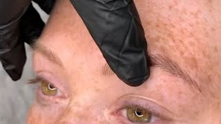 Phibrows With Fox & Brown1 Pigments