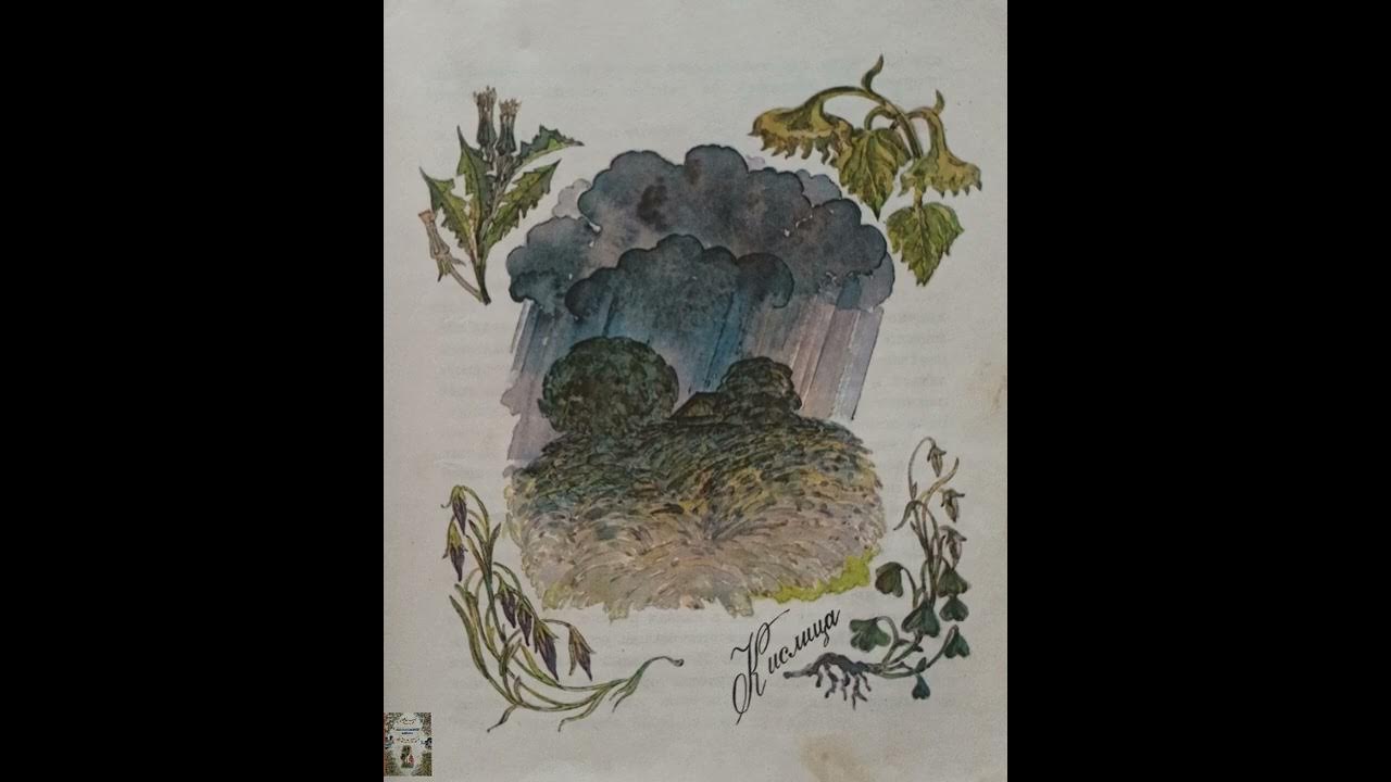 Земля не уберегла олицетворение. Морфологический разбор слова 3 класс. Морфологический разбор. Морфологический разбор слова существительного 1 класс. Ф в морфологическом разборе.