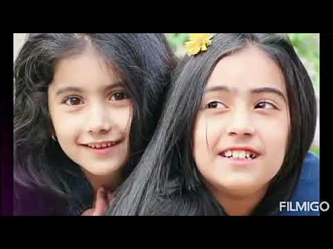 عمرم گهی به هجر و گهی در سفر گذشت