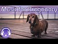 Music for Pregnant Dogs! 15 Hours of the BEST Music to Help Your Pregnant Dog! NEW 2018!