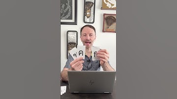 I made talking flashcards in Emurse 🤯