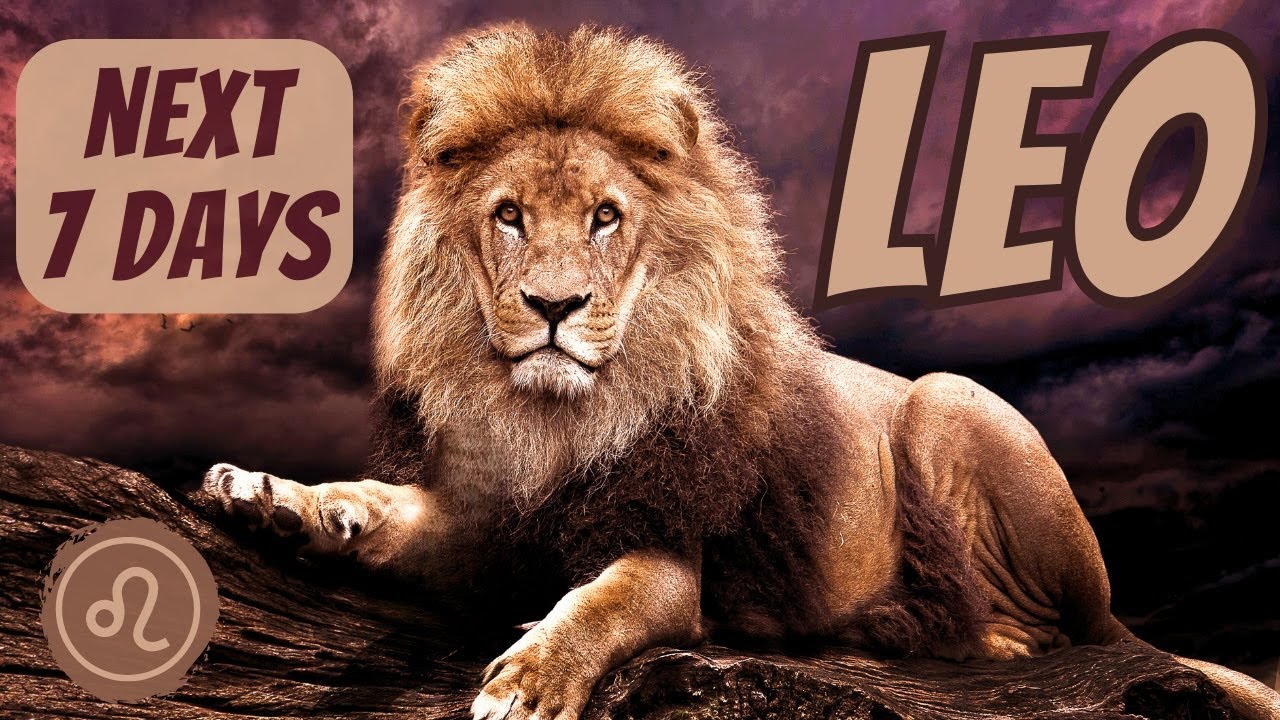 LEO♌️ WTF🤯 THIS WENT LEFT FAST! BUT KNOW THAT EVERYTHING IS WORKING OUT 4U 4 A REASON🔮 NEXT 7 DAYS