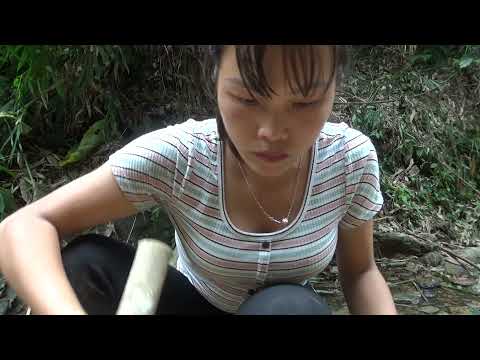 OFF GRID LIVING - Bamboo bridge, solo bushcraft & camping, Survival Alone in the Forest