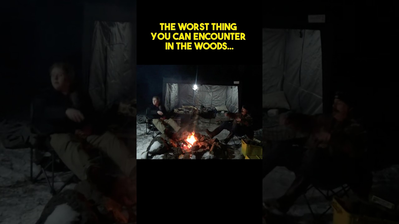 If You See This In The Woods… RUN!