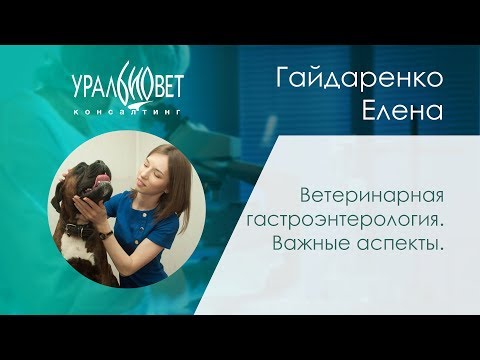 Ветеринарная гастроэнтерология. Важные аспекты. Гайдаренко Елена #убвк_гастроэнтерология