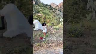 A country not so country pop song #crush #lovesong #newmusic  #Flowerovlove #shorts