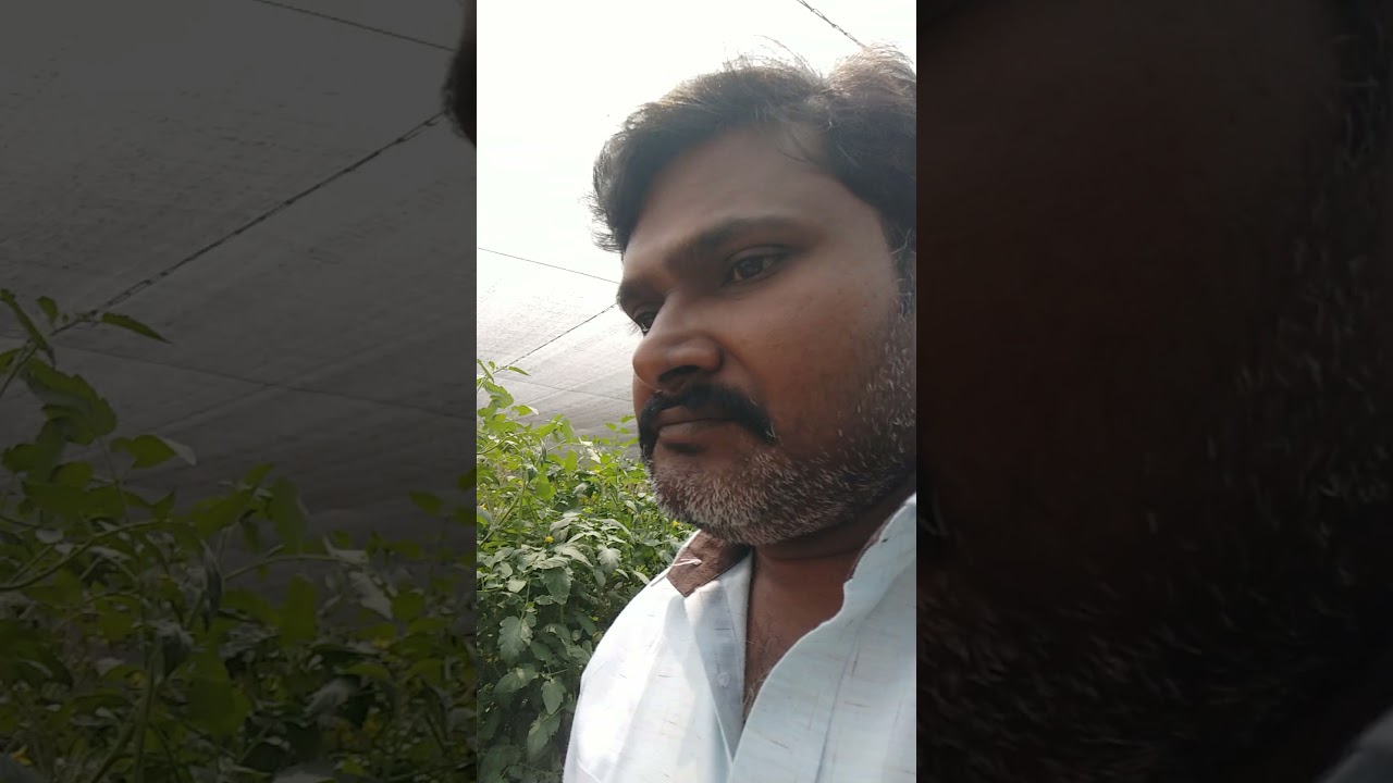 ERUVAKA NURSERY FARM, BELLAMKONDA ADDAROAD, GUNTUR DISTRICT, ANDHRAPRADESH