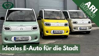 Ari Bruni - Günstiges Elektroauto Mit 4 Sitzen, 215Km Reichweite Sowie Typ 2 Schnelladen