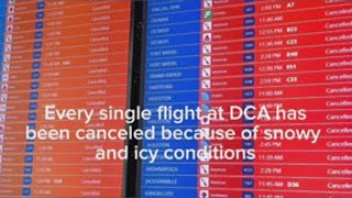 Celebrity All flights at DCA canceled Wealth