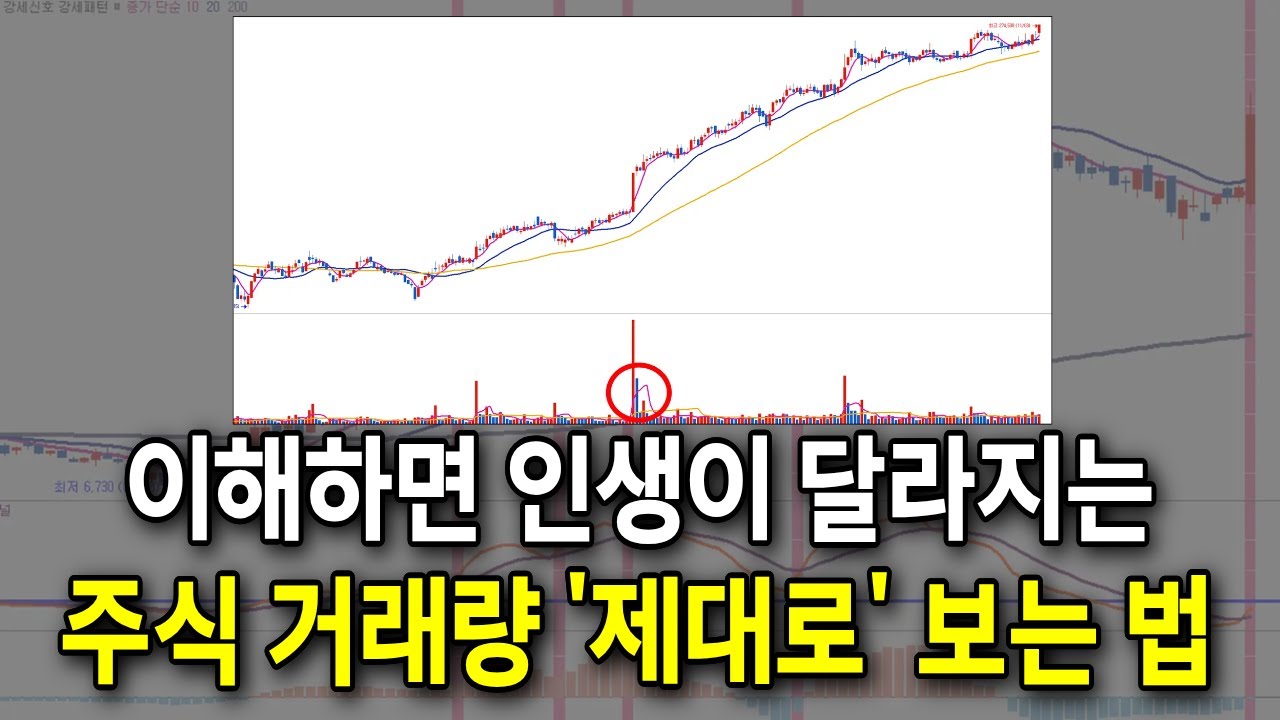 주식,코인 '거래량 보는 법' 완벽하게 알려드릴게요 / #주식 #주식차트 #거래량