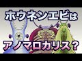 田んぼのホウネンエビはアノマロカリス？？　地球の歴史　その２７