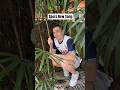 Tottenham Hotspur New Song…
