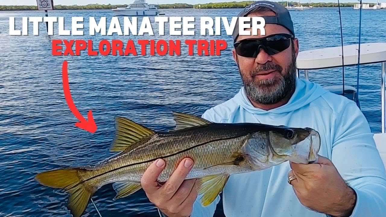 Exploring Creeks & Coves Along The Little Manatee River YouTube