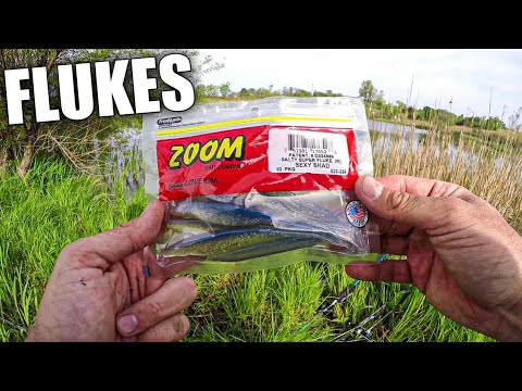 Bank Fishing with Zoom Super Flukes (Easy Bass Fishing Lure!) 