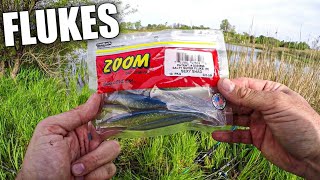 Bank Fishing with Zoom Super Flukes (Easy Bass Fishing Lure!)