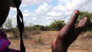 Amboseli Trust for Elephants celebrates 100,000 likes!