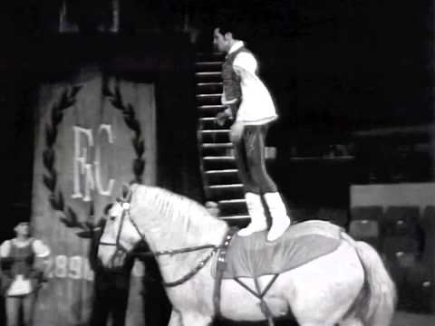 Antal Donnert 1966