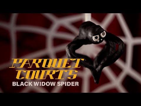 Parquet Courts - &quot;Black Widow Spider&quot; (Official Music Video)