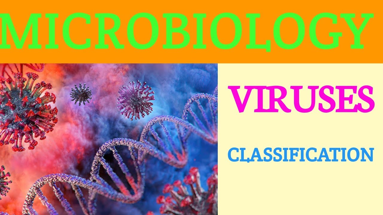 FDA EXAM UPDATE|VIRUSES|CLASSIFICATION OF VIRUSES|VIRUS MICROBIOLOGY|MICROBIOLOGYMCQ | PHARMAEXAM