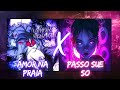 AMOR NA PRAIA X PASSO SUE SO FUNK REMIX AMOR NA PRAIA X PASSO SUE SO FUNK REMIX