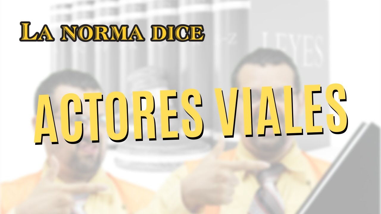 ¿ CUALES SON LOS ACTORES  VIALES?