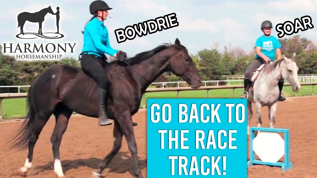 Bowdrie and Soar go back to the race track!