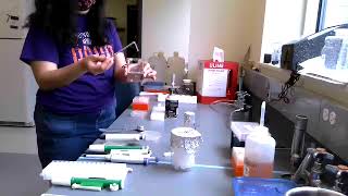 SEA-PHAGES: Making a spread plate