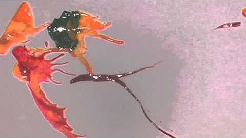 Graphic Notation Animation