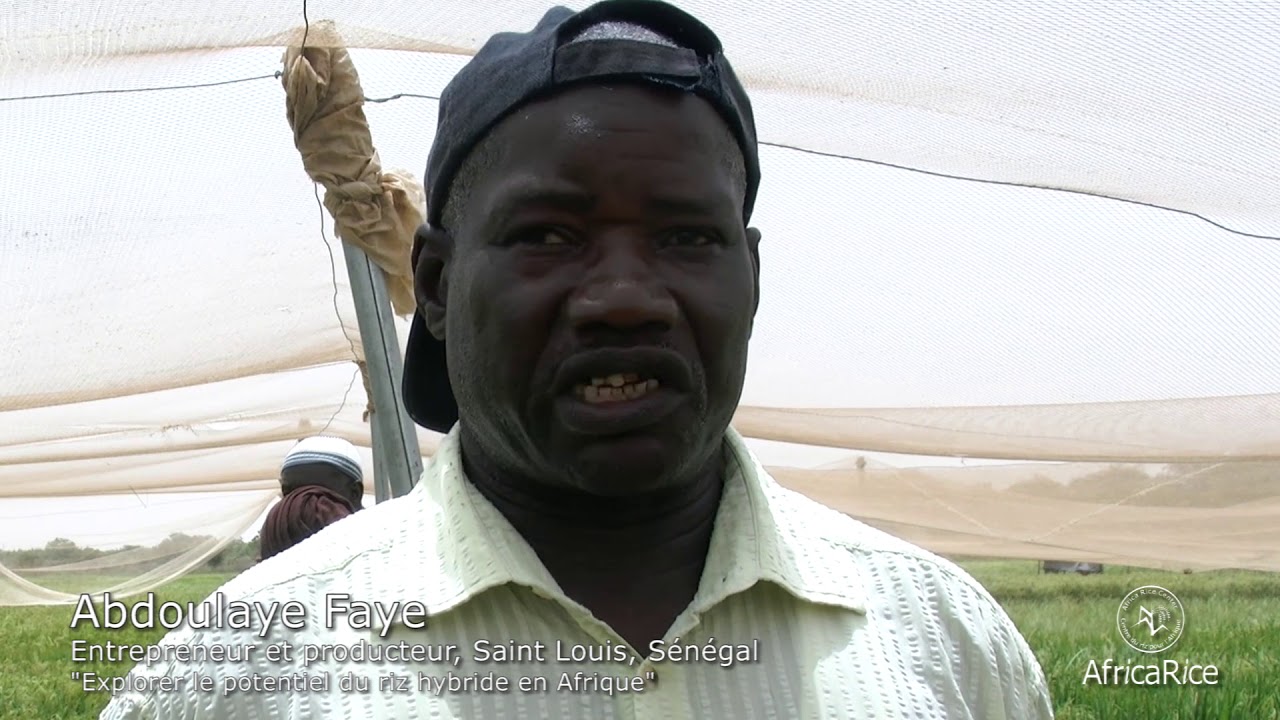 Abdoulaye Faye, Entrepreneur et producteur, Saint Louis, Sénégal