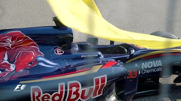 What Do All the Formula 1 Flags Mean?