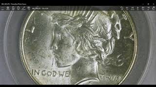 Complete Peace Dollar Collection Appraisal - How Did I do?