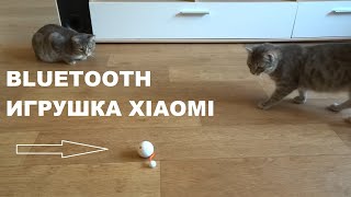 Интерактивная игрушка для кошек умный мяч Xiaomi с дистанционным управлением по Bluetooth MRP01-1
