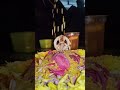 ఓం శ్రీ స్వామియే శరణమయ్యప్ప