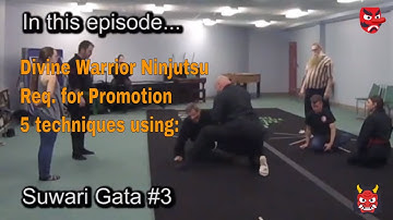 Bujinkan Ninjutsu, 4th Kyu, part 27 - 5 techniques using suwari gata, #3